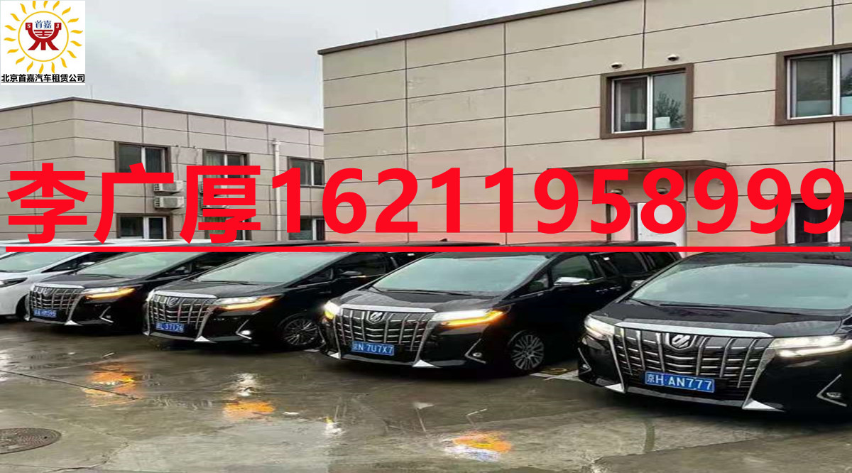 出租人应对交通违章