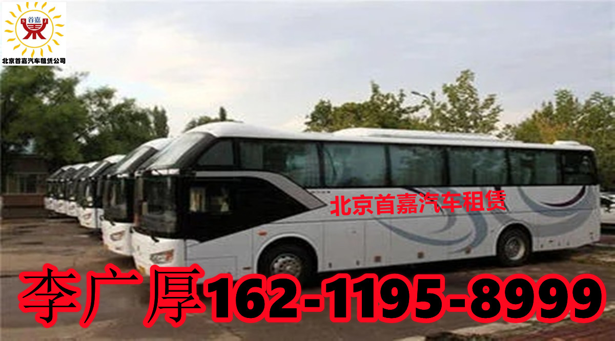 租车怎么样，需注意下面几点：