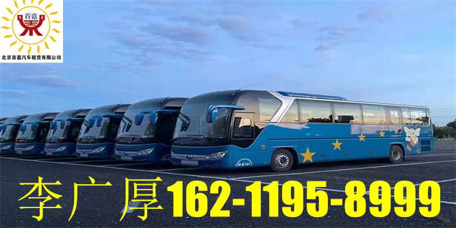 在安全带上配上软软的安全带套