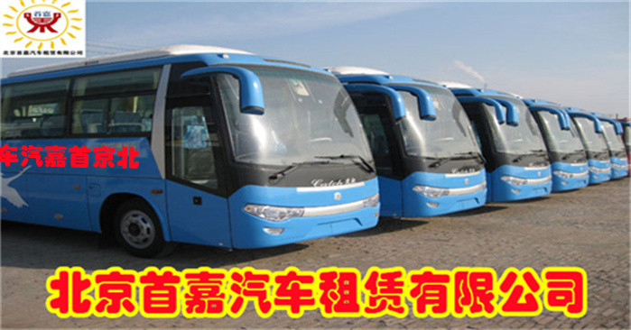 国际上用车时尚的发展趋势