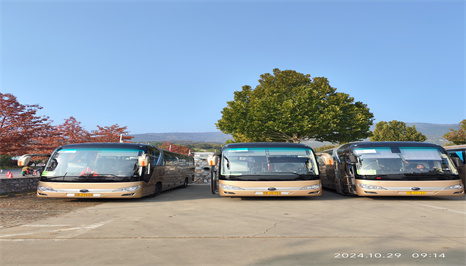 北京商务车租赁公司阅读保险条款